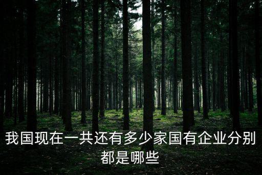 我國現在一共還有多少家國有企業分別都是哪些