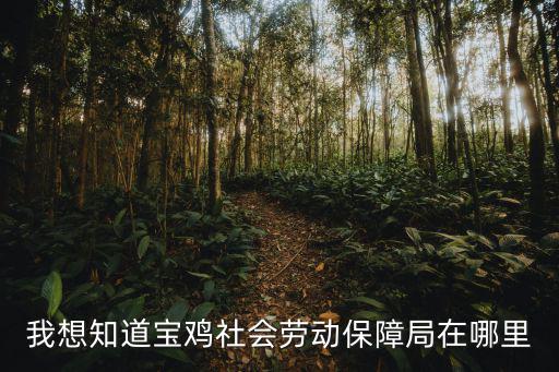 我想知道寶雞社會勞動保障局在哪里