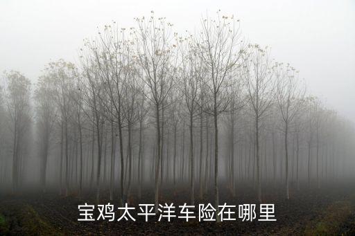 寶雞太平洋車險在哪里