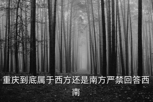 重慶西南，重慶在西南地區(qū)處于什么樣的經(jīng)濟地位