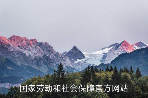 國(guó)家勞動(dòng)和社會(huì)保障官方網(wǎng)站