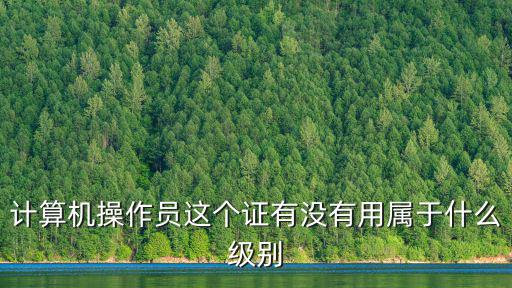 計算機操作員證書，中華人民共和國中級計算機操作員職業(yè)資格證書的含金量有多大啊