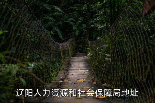 遼陽人力資源和社會保障局地址
