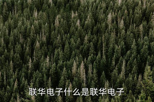 聯華電子什么是聯華電子