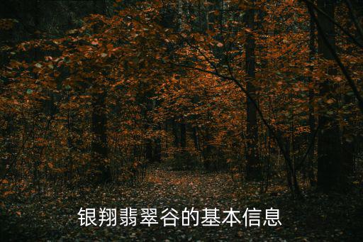 銀翔翡翠谷的基本信息