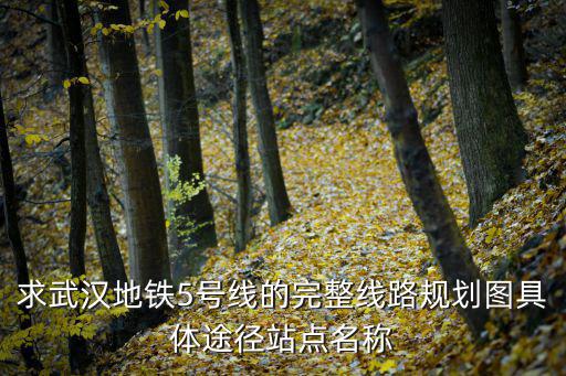 5號線線路圖，求武漢地鐵5號線的完整線路規(guī)劃圖具體途徑站點名稱