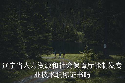 遼寧省人力資源和社會保障廳能制發專業技術職稱證書嗎