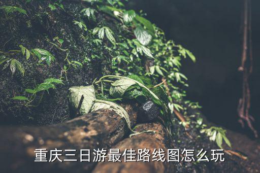 重慶三日游最佳路線圖怎么玩