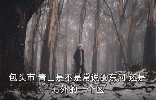 包頭市 青山是不是常說的東河 還是另外的一個區(qū)