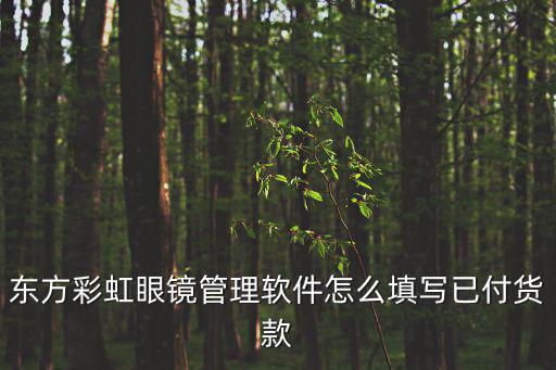 東方彩虹眼鏡管理軟件怎么填寫已付貨款