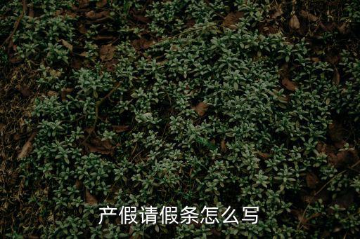 產假請假條怎么寫，產假請假條怎么寫