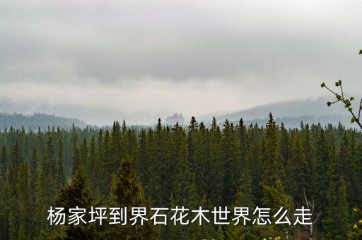 楊家坪到界石花木世界怎么走