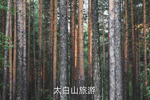 太白山旅游