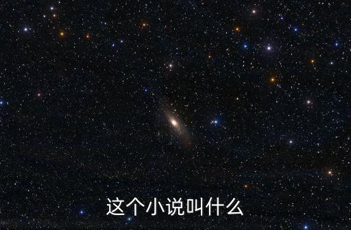 這個小說叫什么