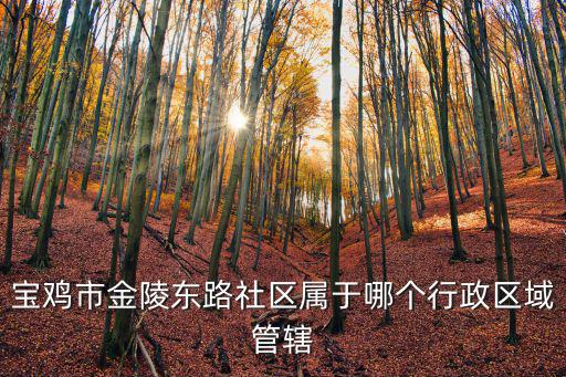 寶雞市金陵東路社區屬于哪個行政區域管轄