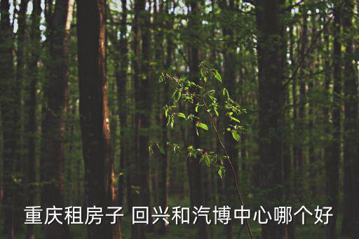 重慶租房子 回興和汽博中心哪個(gè)好