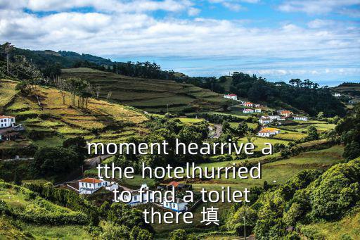 時間定格，moment hearrive atthe hotelhurried to find a toilet there 填