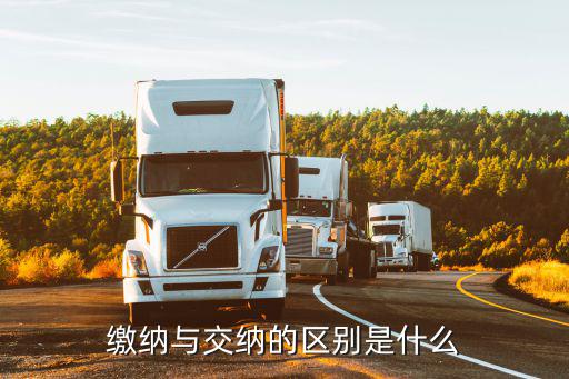 繳納與交納的區別是什么