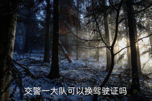 交警一大隊(duì)，昆明市交警一大隊(duì)轄區(qū)駕駛車輛被交警查故意遮擋牌子怎么處理