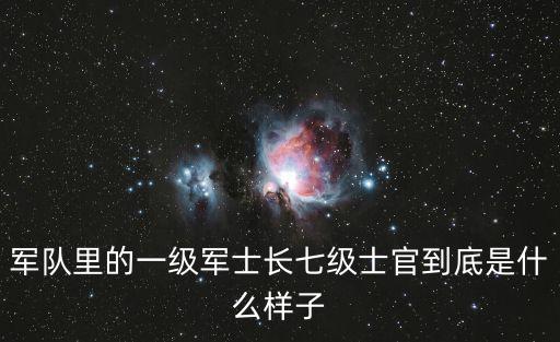 七級軍士長，軍隊里的一級軍士長七級士官到底是什么樣子
