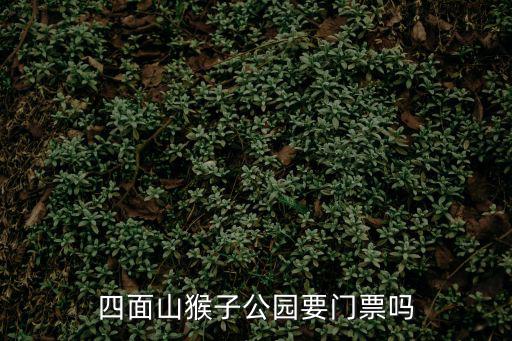 四面山猴子公園要門票嗎