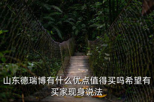 山東德瑞博有什么優點值得買嗎希望有買家現身說法