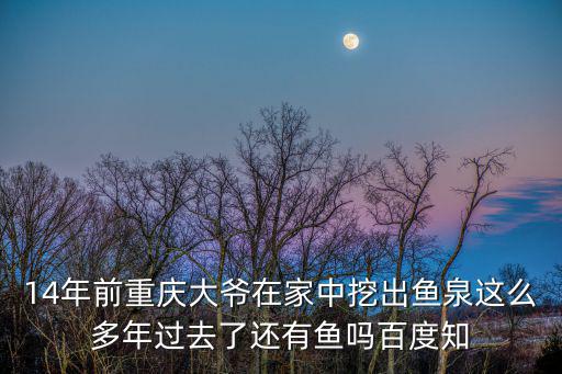 重慶魚泉，14年前重慶大爺在家中挖出魚泉這么多年過去了還有魚嗎百度知