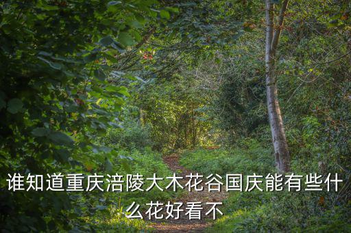 涪陵鮮花，10月涪陵大木鄉能欣賞什么花