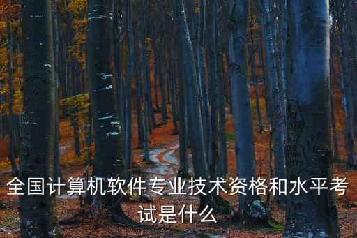 全國計算機軟件專業技術資格和水平考試是什么