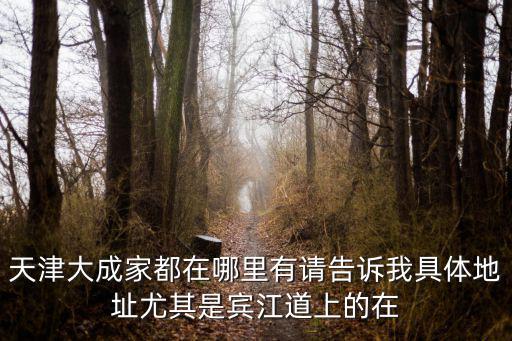 大成家，天津大成家都在哪里有請告訴我具體地址尤其是賓江道上的在