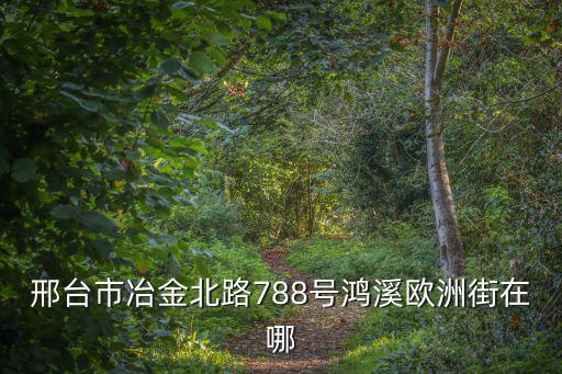 歐洲街，邢臺市冶金北路788號鴻溪歐洲街在哪