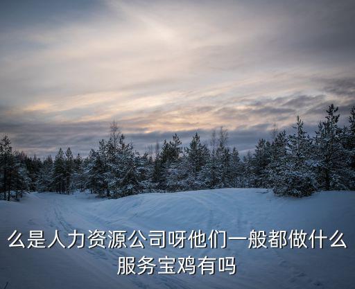 么是人力資源公司呀他們一般都做什么服務寶雞有嗎