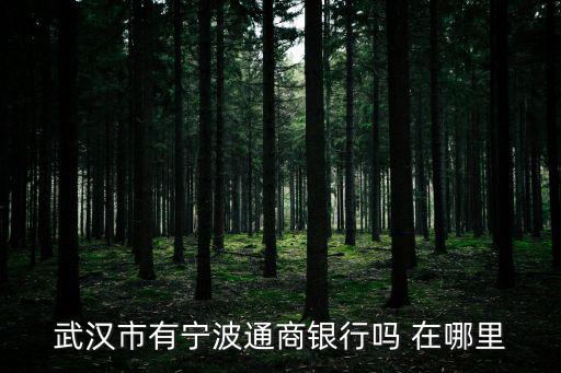 武漢市有寧波通商銀行嗎 在哪里