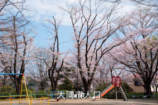 大同市人口