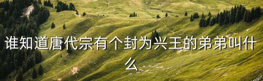 誰知道唐代宗有個(gè)封為興王的弟弟叫什么