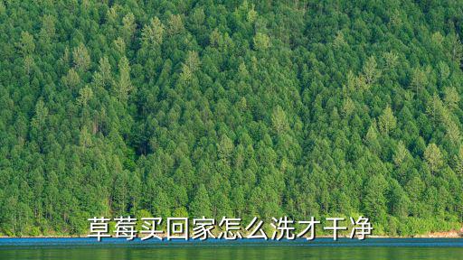 草莓買回家怎么洗才干凈