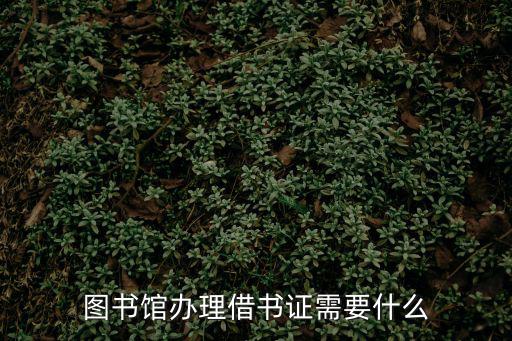 圖書館辦理借書證需要什么