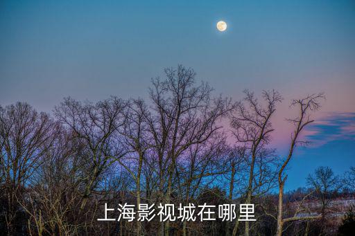 上海影視城在哪里