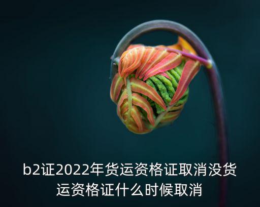 資格證取消，駕駛員資格證取消了嗎