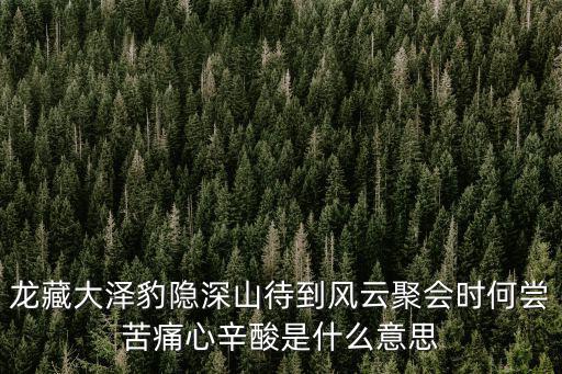 龍藏，龍藏大澤豹隱深山待到風云聚會時何嘗苦痛心辛酸是什么意思