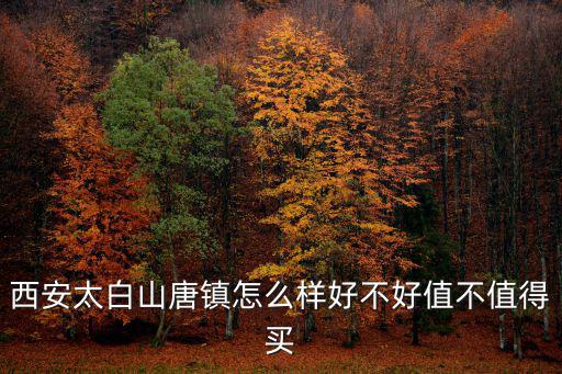 西安太白山唐鎮怎么樣好不好值不值得買