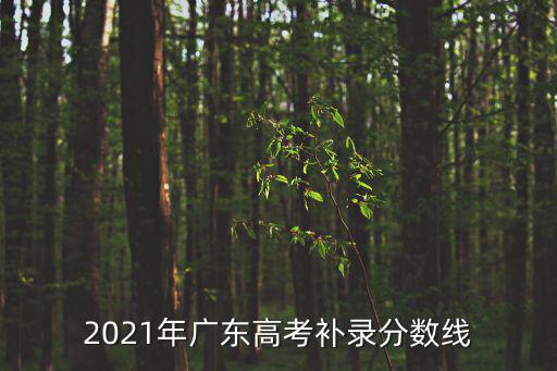 2021年廣東高考補錄分?jǐn)?shù)線