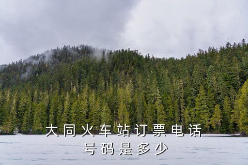 大 同 火 車 站 訂 票 電 話 號 碼 是 多 少