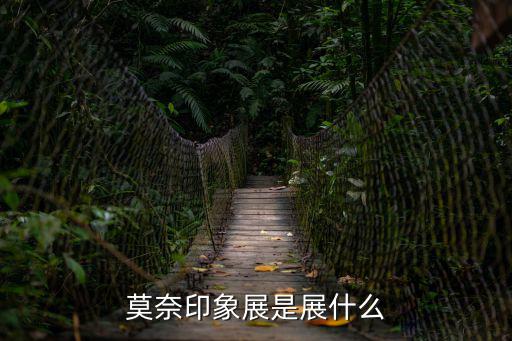 莫奈印象展是展什么