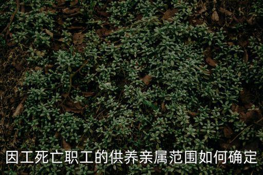 因工死亡職工的供養(yǎng)親屬范圍如何確定