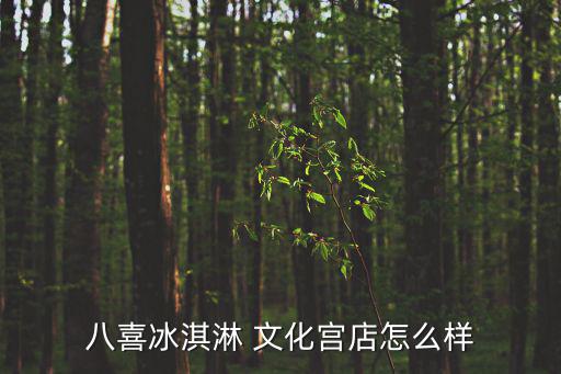 八喜冰淇淋 文化宮店怎么樣