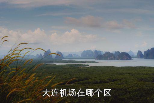 大連機場在哪個區(qū)