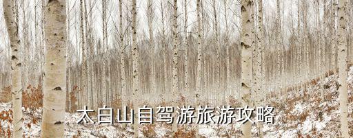 太白山自駕游旅游攻略