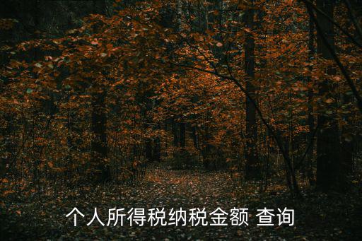 個人所得稅納稅金額 查詢