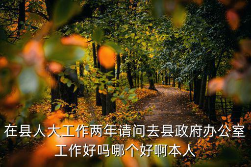 在縣人大工作兩年請問去縣政府辦公室工作好嗎哪個好啊本人